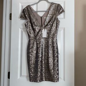 Silver Dress the Population dress!